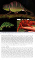 Field Guide to East African Reptiles - Steve Spawls 2018
